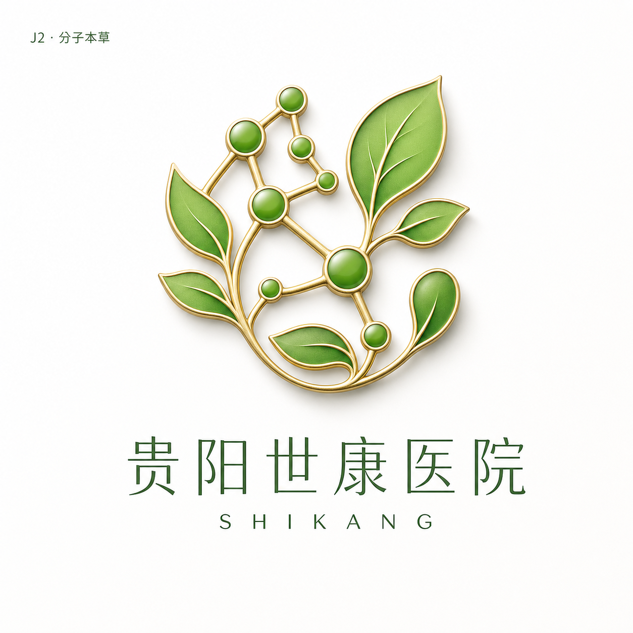 分子本草